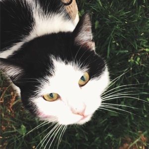 Meet your Posher, Jacob